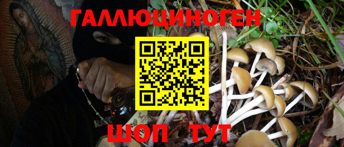 Псилоцибиновые грибы Psilocybine cubensis Лобня