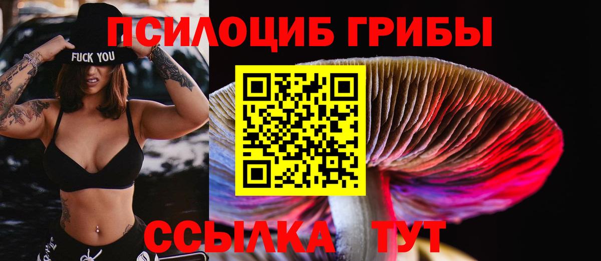 Лобня  Псилоцибиновые грибы Psilocybine cubensis  где продают   Вход с VPN 